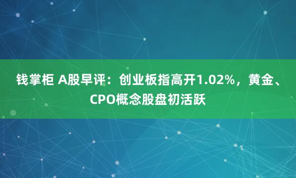 钱掌柜 A股早评：创业板指高开1.02%，黄金、CPO概念股盘初活跃
