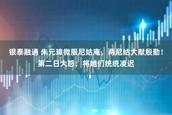 银泰融通 朱元璋微服尼姑庵，两尼姑大献殷勤！第二日大怒：将她们统统凌迟