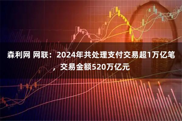 森利网 网联：2024年共处理支付交易超1万亿笔，交易金额520万亿元