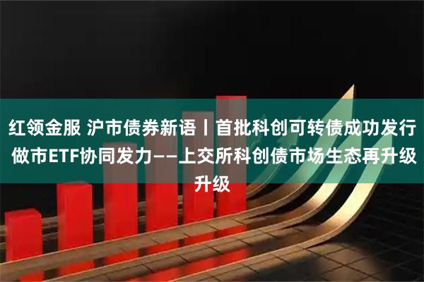 红领金服 沪市债券新语丨首批科创可转债成功发行 做市ETF协同发力——上交所科创债市场生态再升级